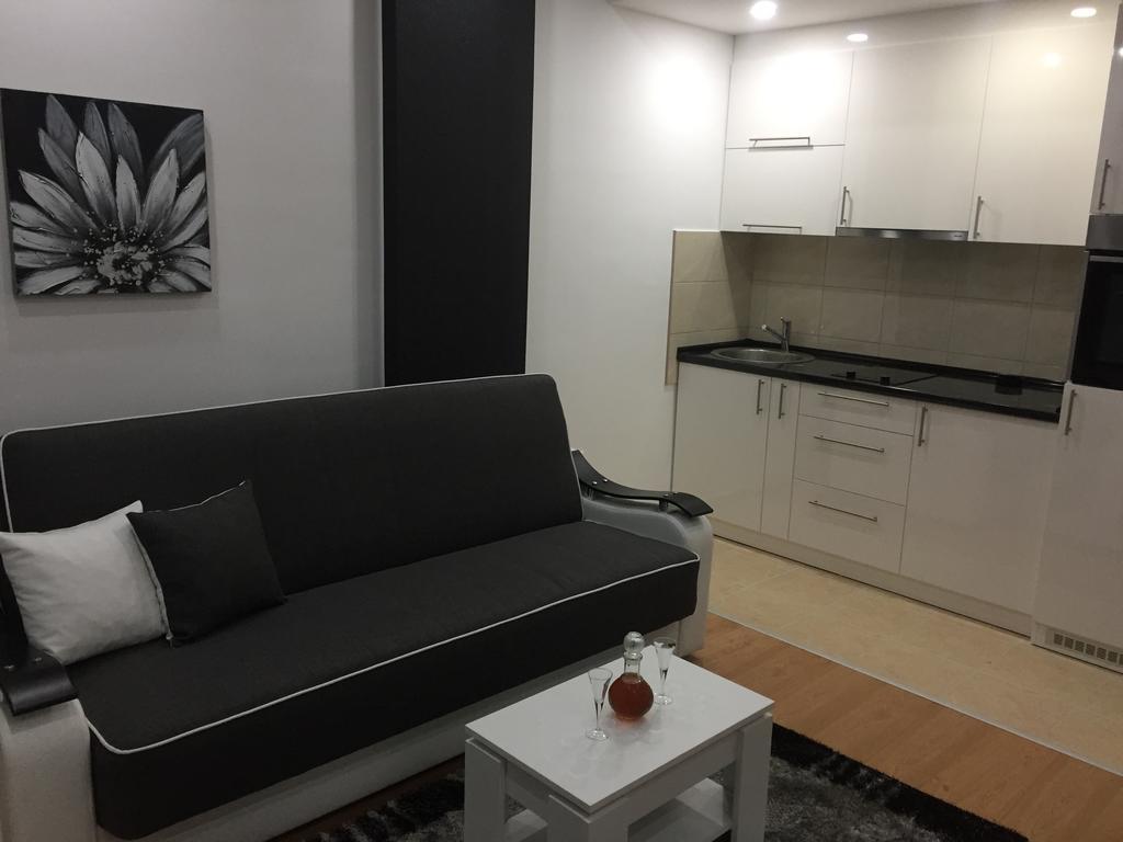 Banja Koviljača Apartman Jezdic מראה חיצוני תמונה