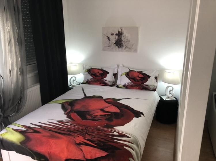 Banja Koviljača Apartman Jezdic מראה חיצוני תמונה
